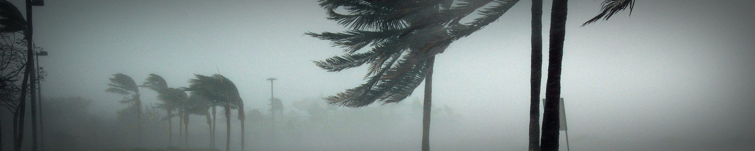 Tips & Helpful Information - Manatee Insurance Exchange